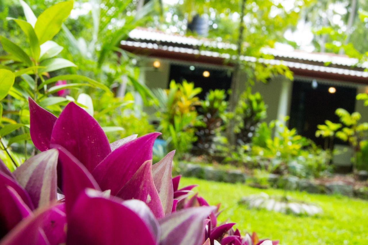 Senura Home Stay Sigiriya Exterior photo